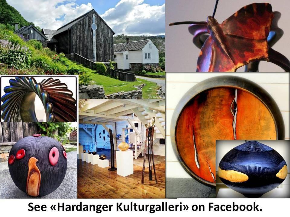 Apartment In Herand, Hardanger Екстер'єр фото